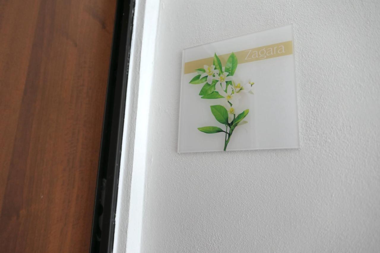 Casa Consoli Apartment